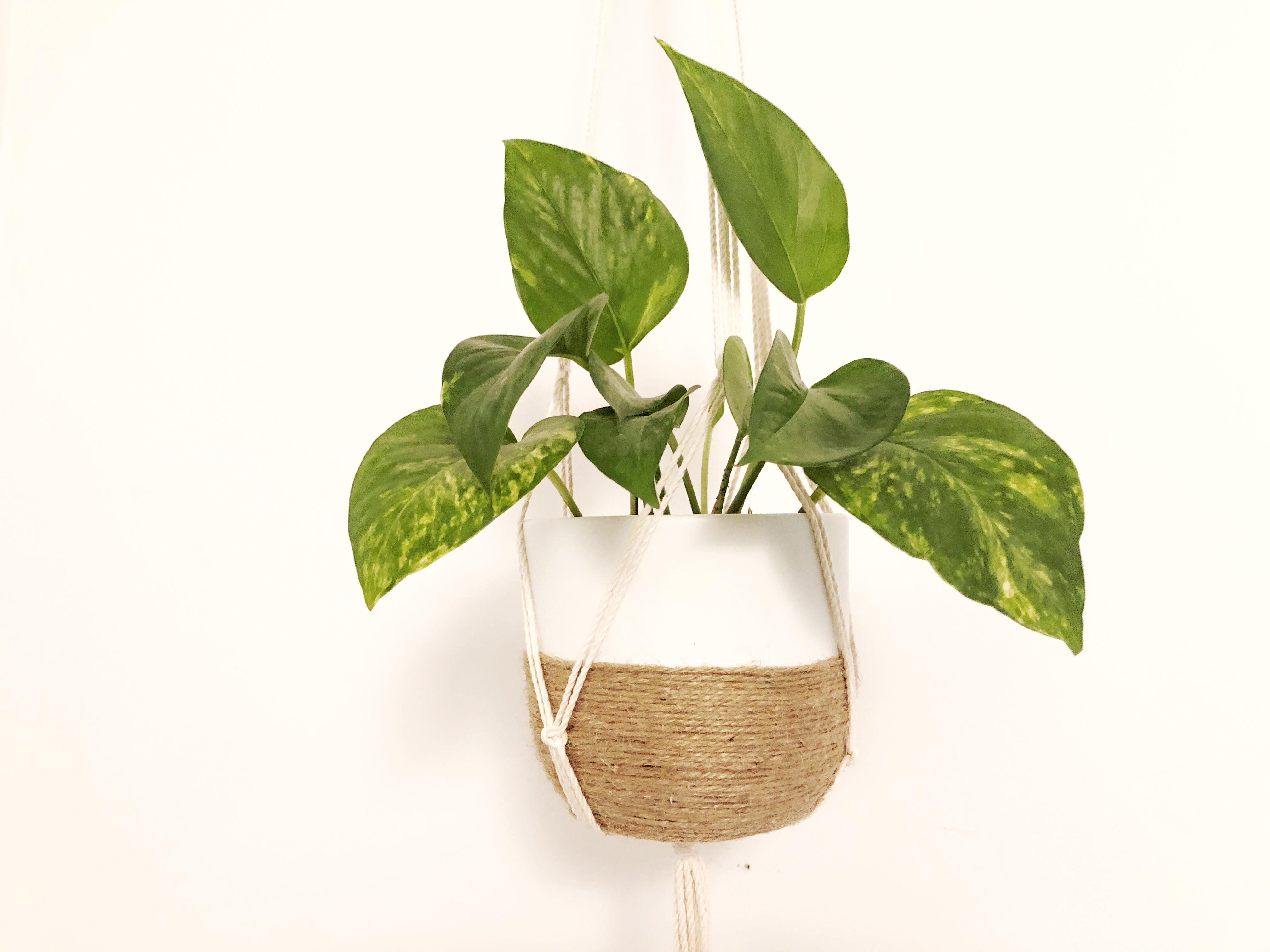 Plant Hanger with Gathering Knot Base