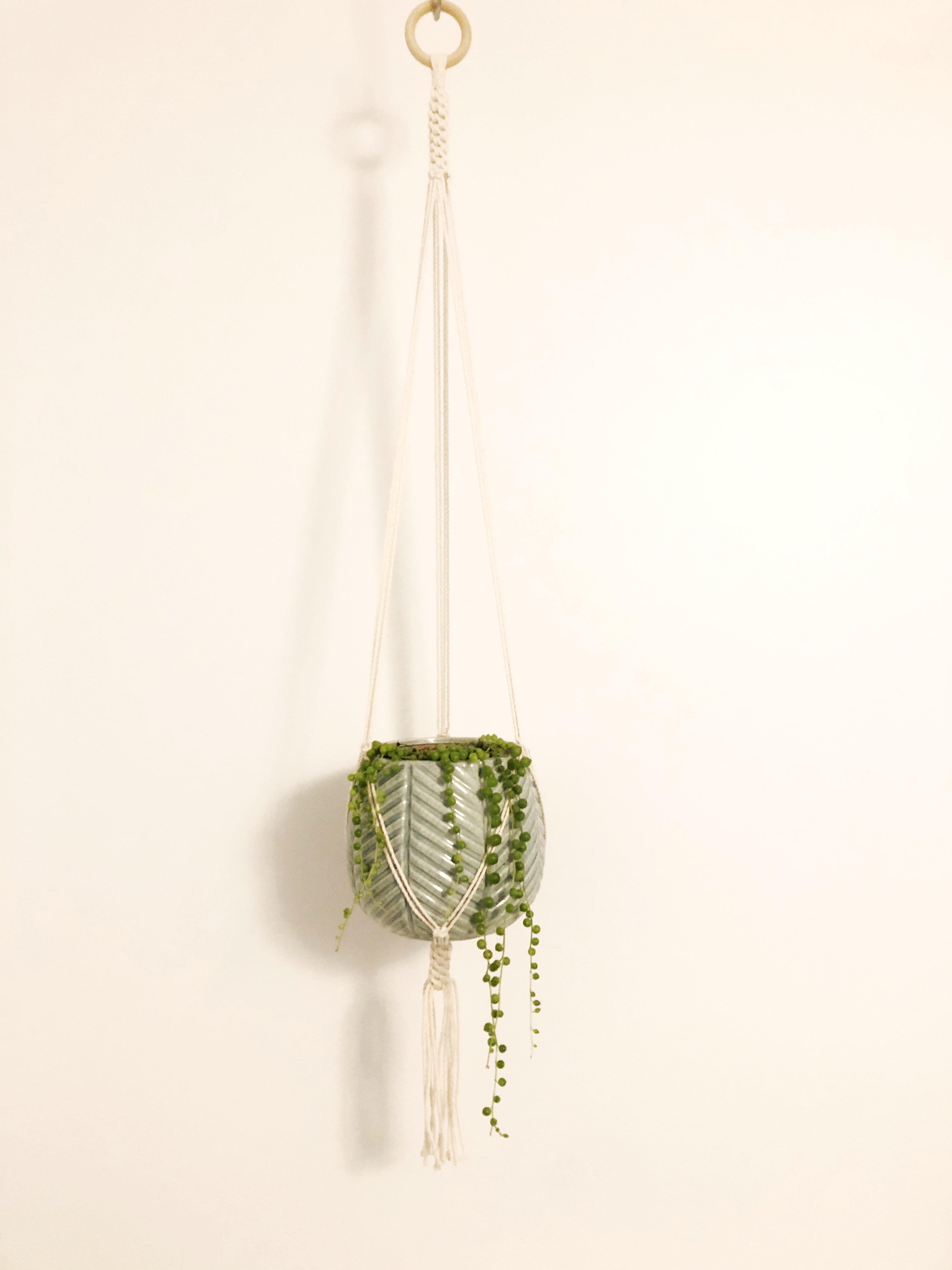 crown knot macrame plant hanger Plant Hanger with Crown Knot Base – The Modern Macramist