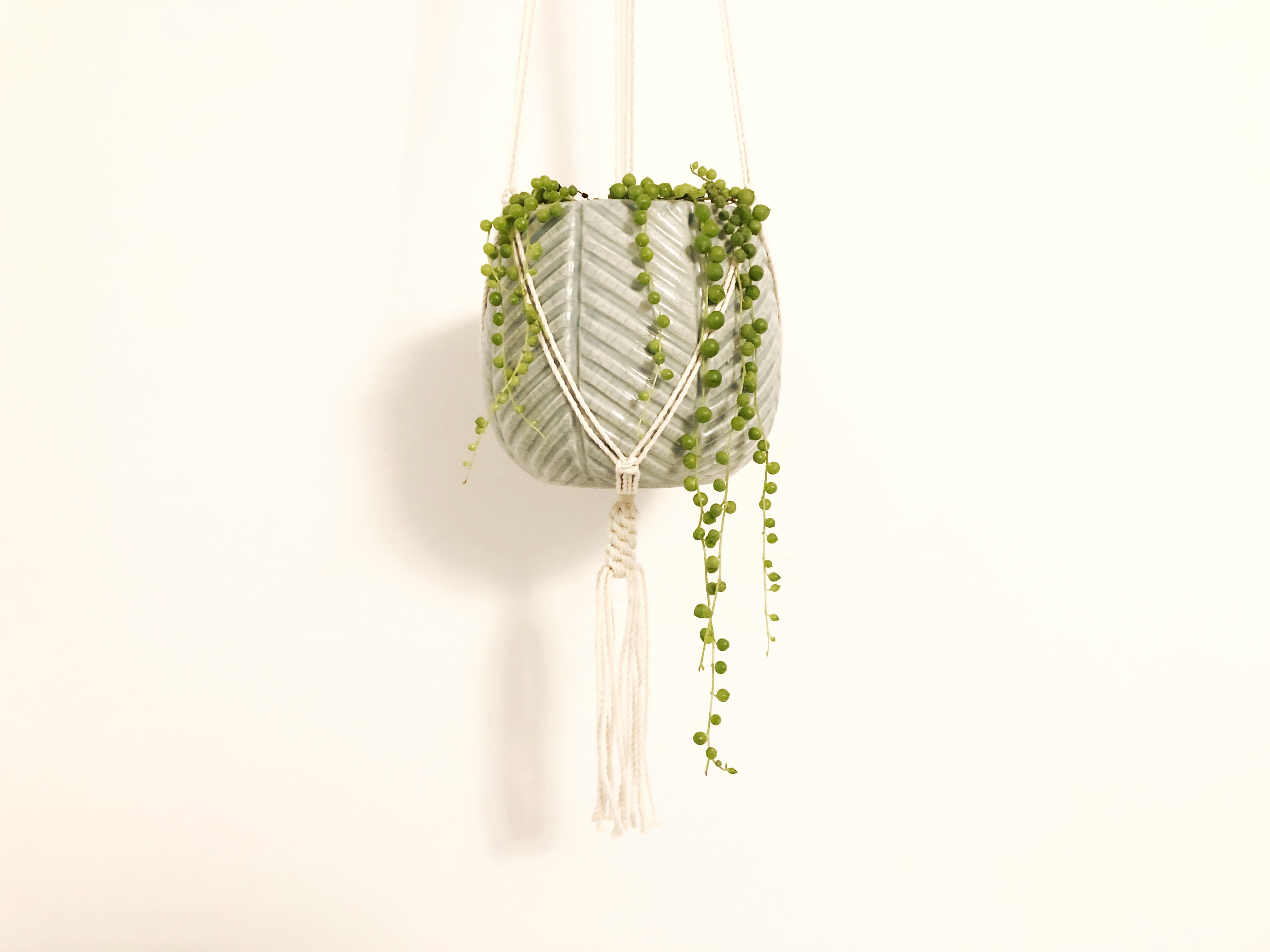 Plant Hanger with Crown Knot Base