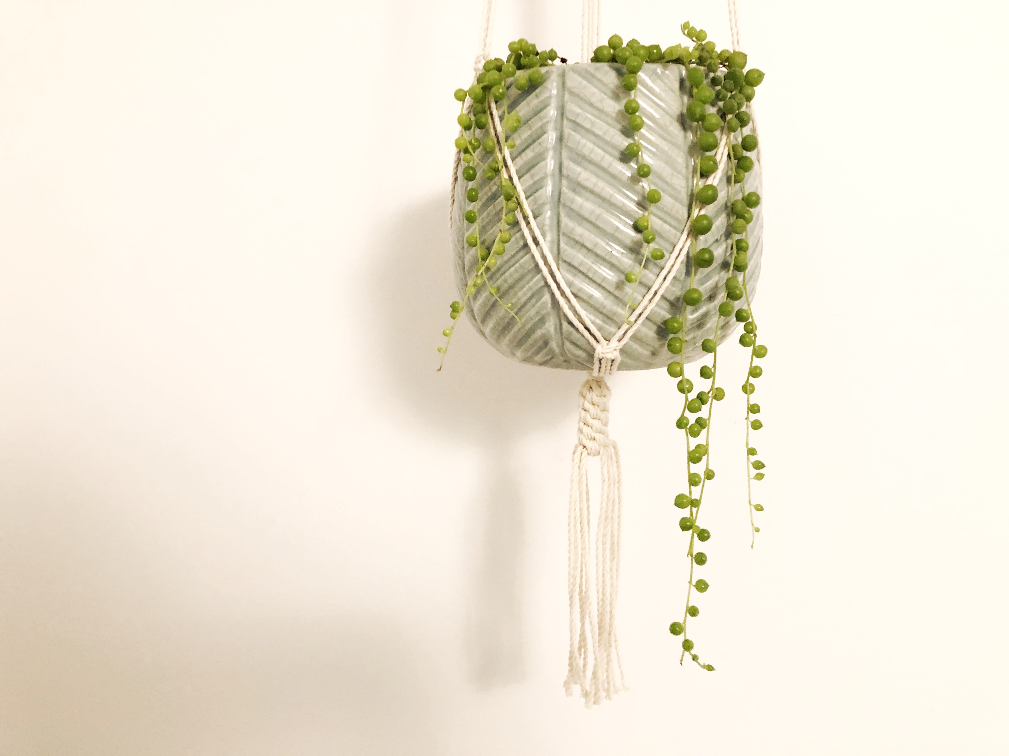 crown knot macrame plant hanger Plant Hanger with Crown Knot Base – The Modern Macramist